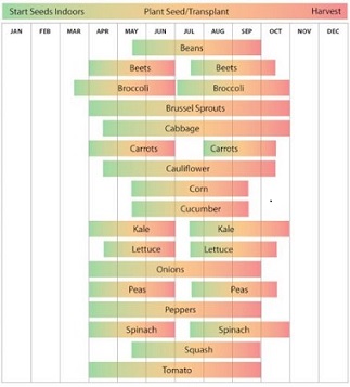 Planting Schedule 5b